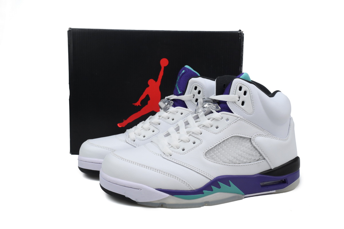 Air Jordan 5 (Grape)